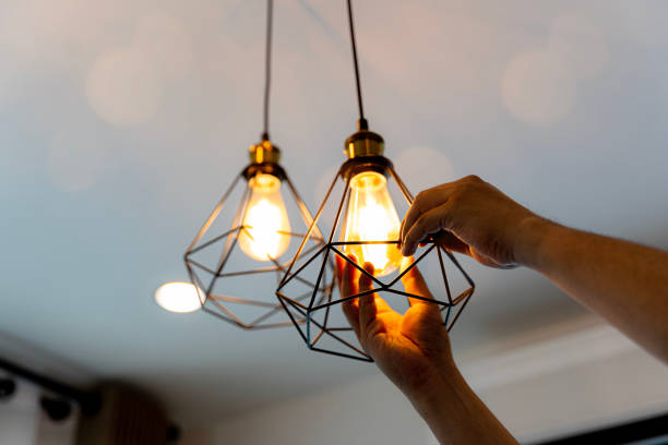 Best Electric Panel Repair  in Pocono Ranch Lands, PA